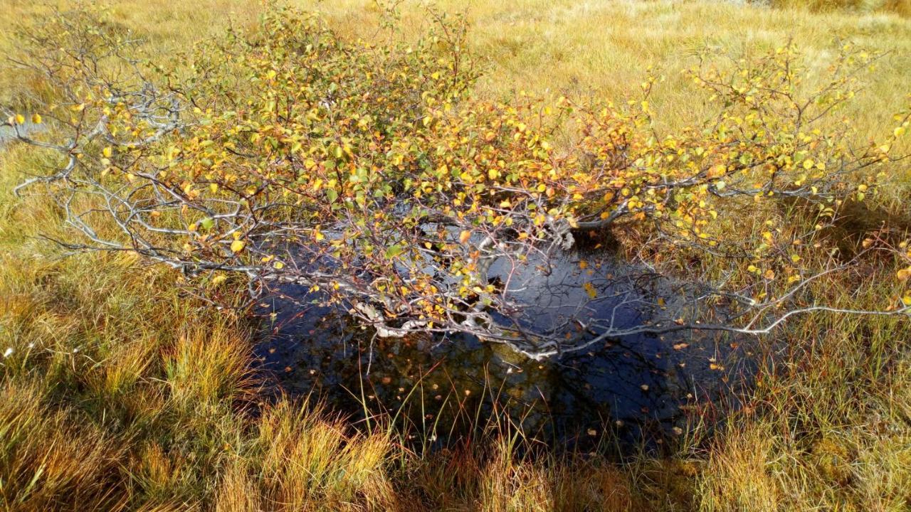 Sirdal Hoyfjellshotell Fidjeland Εξωτερικό φωτογραφία